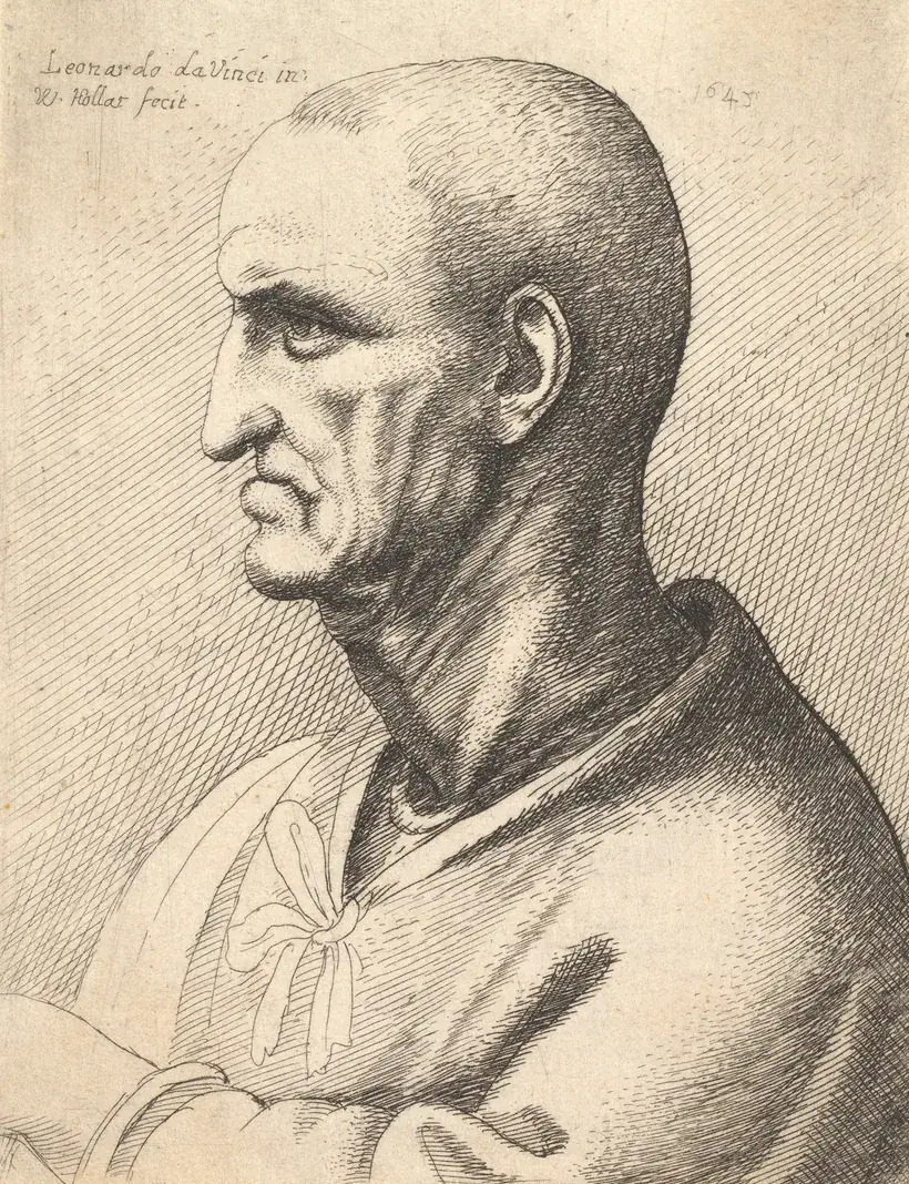 Incisione di Wenceslaus Hollar da Leonardo da Vinci (1645): testa di uomo anziano di profilo, espressione arcigna, naso e mento pronunciati, mascella rientrante
