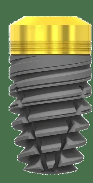 Kalodon Newton 6x10mm