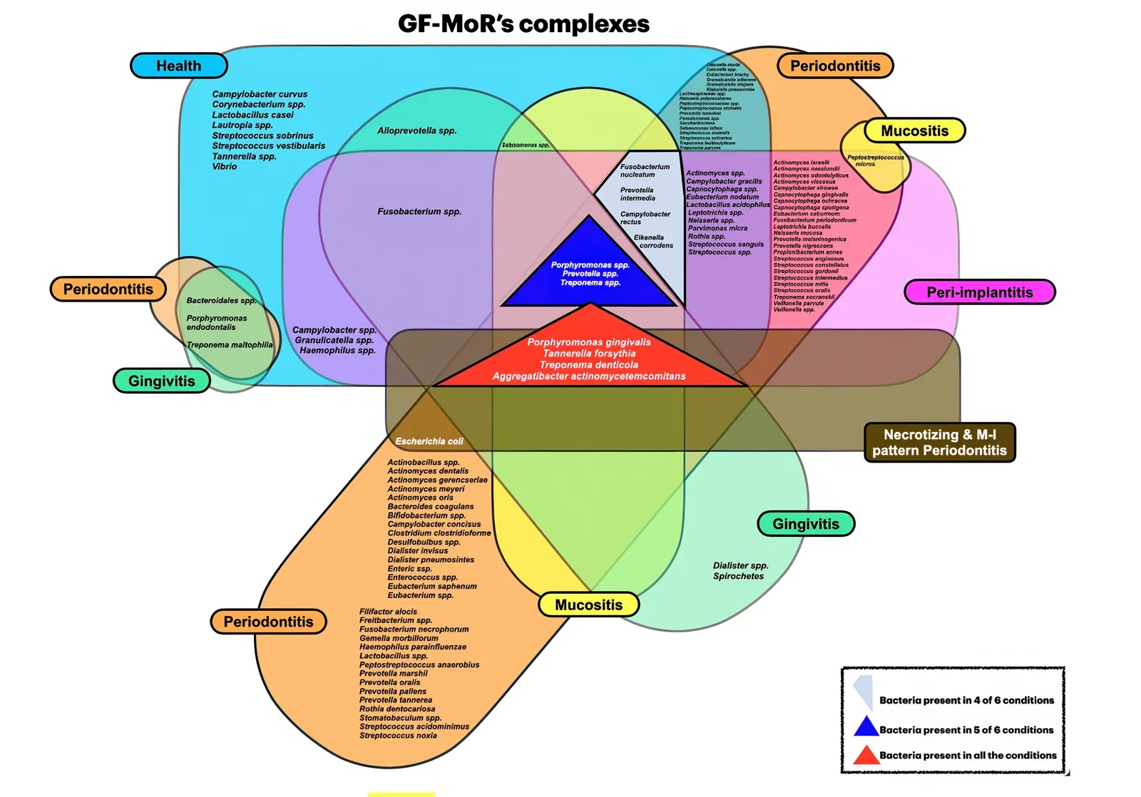 I GF-MoR complexes: sei cluster batterici organizzati per condizione clinica — salute, gengivite, mucosite peri-implantare, parodontite, peri-implantite, parodontite necrotizzante e molare-incisivo — con intersezioni che evidenziano il triangolo rosso e il polygon grigio.